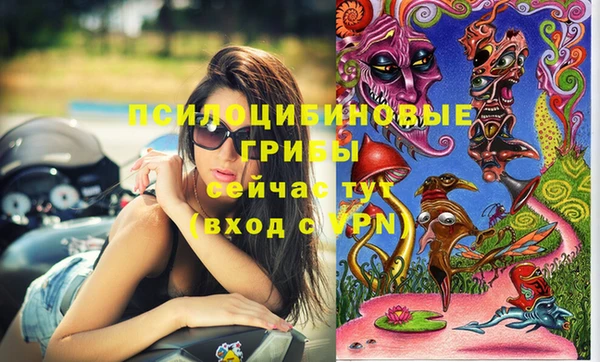 тгк Армянск