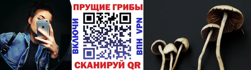 Псилоцибиновые грибы MAGIC MUSHROOMS  Белинский 